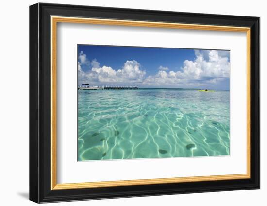 Kayaker in Blue Waters, Southwater Cay, Belize-Cindy Miller Hopkins-Framed Photographic Print