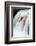 Kayaker Jumping from a Waterfall-Ivan Chudakov-Framed Photographic Print