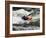 Kayaker Plays in a Hole in Tariffville Gorge, Farmington River in Tariffville, Connecticut, USA-Jerry & Marcy Monkman-Framed Photographic Print