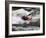 Kayaker Plays in a Hole in Tariffville Gorge, Farmington River in Tariffville, Connecticut, USA-Jerry & Marcy Monkman-Framed Photographic Print