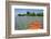 Kayaking in the Shallow Water, Southwater Cay, Stann Creek, Belize-Cindy Miller Hopkins-Framed Photographic Print