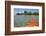 Kayaking in the Shallow Water, Southwater Cay, Stann Creek, Belize-Cindy Miller Hopkins-Framed Photographic Print