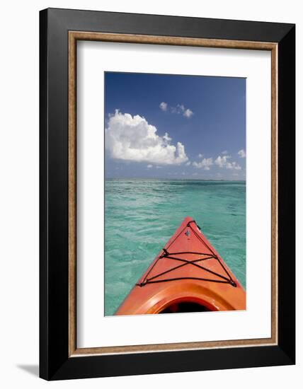 Kayaking Off the Coast, Southwater Cay, Belize-Cindy Miller Hopkins-Framed Photographic Print