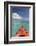 Kayaking Off the Coast, Southwater Cay, Belize-Cindy Miller Hopkins-Framed Photographic Print