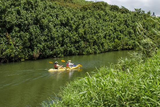 kayaking on the wailua