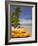 Kayaks and Beach, Shangri-La Fijian Resort, Yanuca Island, Coral Coast, Viti Levu, Fiji-David Wall-Framed Photographic Print