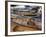 Kayaks and Rowboats at the Center for Wooden Boats, Seattle, Washington, USA-William Sutton-Framed Photographic Print