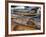 Kayaks and Rowboats at the Center for Wooden Boats, Seattle, Washington, USA-William Sutton-Framed Photographic Print