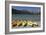 Kayaks - June Lake- Mono County, California-Carol Highsmith-Framed Photo