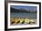 Kayaks - June Lake- Mono County, California-Carol Highsmith-Framed Photo