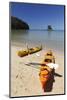 Kayaks on Beach, Torrent Bay, Abel Tasman National Park-Stuart Black-Mounted Photographic Print