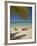 Kayaks on the Beach, Plantation Island Resort, Malolo Lailai Island, Mamanuca Islands, Fiji-David Wall-Framed Photographic Print