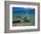 Kayaks, Otekiho Beach, Otago Harbor, New Zealand-David Wall-Framed Photographic Print