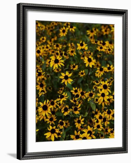 Kayndu-Jim Crotty-Framed Photographic Print