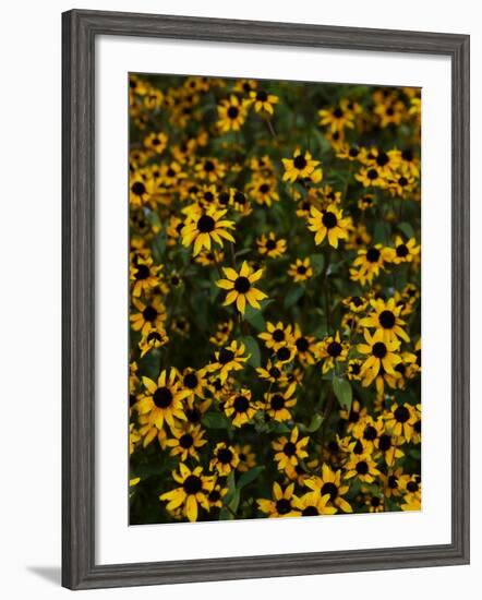 Kayndu-Jim Crotty-Framed Photographic Print