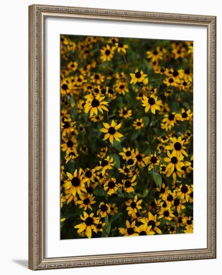 Kayndu-Jim Crotty-Framed Photographic Print