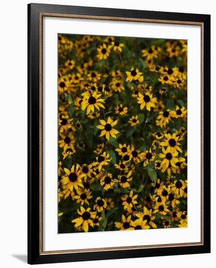 Kayndu-Jim Crotty-Framed Photographic Print