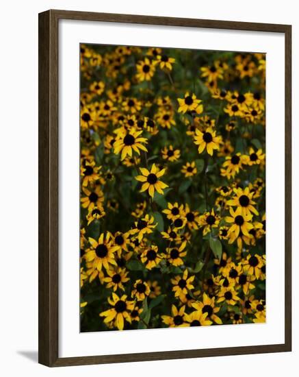 Kayndu-Jim Crotty-Framed Photographic Print