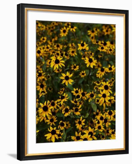 Kayndu-Jim Crotty-Framed Photographic Print