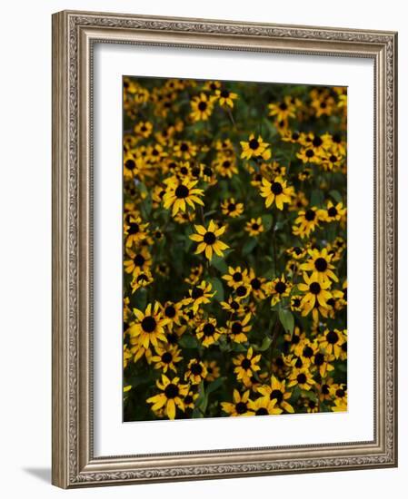 Kayndu-Jim Crotty-Framed Photographic Print