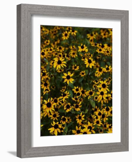 Kayndu-Jim Crotty-Framed Photographic Print