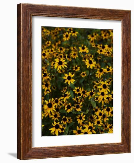 Kayndu-Jim Crotty-Framed Photographic Print