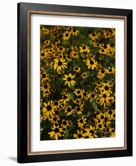 Kayndu-Jim Crotty-Framed Photographic Print