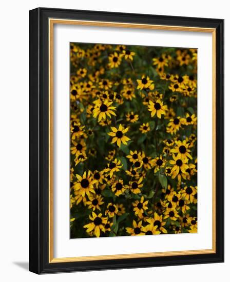 Kayndu-Jim Crotty-Framed Photographic Print