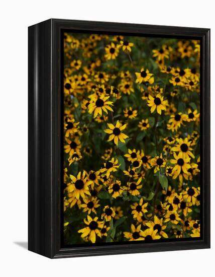 Kayndu-Jim Crotty-Framed Premier Image Canvas