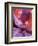 Kayveo-Jim Crotty-Framed Photographic Print