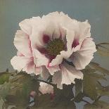 Tree Paeony, 1896-Kazumasa Ogawa-Giclee Print