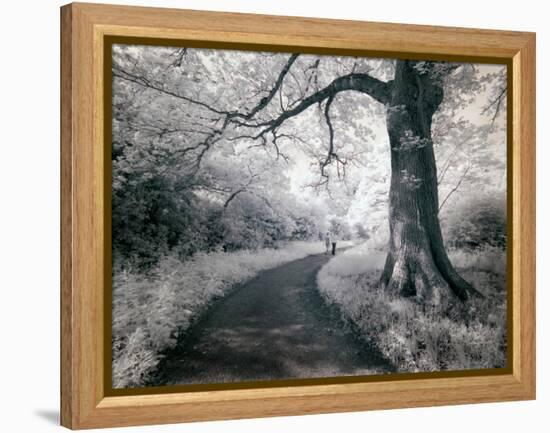 Kazz-Craig Satterlee-Framed Premier Image Canvas