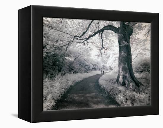 Kazz-Craig Satterlee-Framed Premier Image Canvas