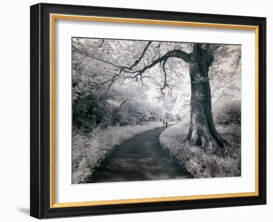 Kazz-Craig Satterlee-Framed Photographic Print