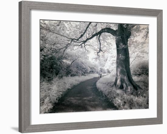 Kazz-Craig Satterlee-Framed Photographic Print