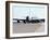 KC-135 Stratotankers in Elephant Walk Formation On the Runway-Stocktrek Images-Framed Photographic Print