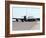 KC-135 Stratotankers in Elephant Walk Formation On the Runway-Stocktrek Images-Framed Photographic Print