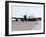 KC-135 Stratotankers in Elephant Walk Formation On the Runway-Stocktrek Images-Framed Photographic Print