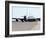 KC-135 Stratotankers in Elephant Walk Formation On the Runway-Stocktrek Images-Framed Photographic Print