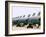 KC-135 Stratotankers-Stocktrek Images-Framed Photographic Print