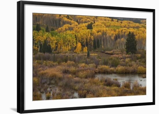 Kebler Autumn Rain-Michael Greene-Framed Giclee Print