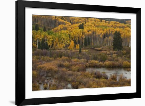 Kebler Autumn Rain-Michael Greene-Framed Giclee Print