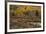 Kebler Autumn Rain-Michael Greene-Framed Giclee Print