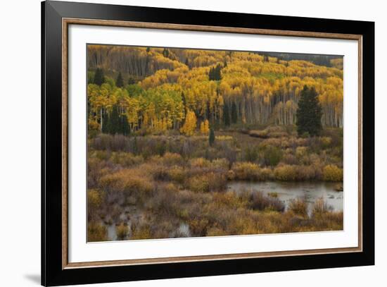 Kebler Autumn Rain-Michael Greene-Framed Giclee Print