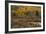 Kebler Autumn Rain-Michael Greene-Framed Giclee Print