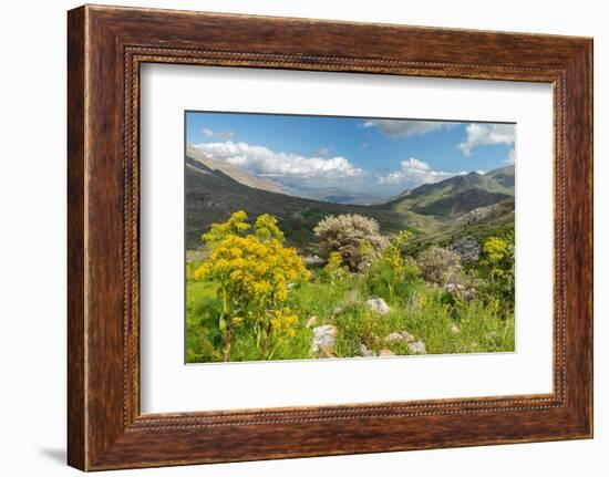 Kedros Massif, Crete, Greek Islands, Greece, Europe-Markus Lange-Framed Photographic Print