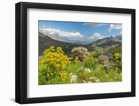 Kedros Massif, Crete, Greek Islands, Greece, Europe-Markus Lange-Framed Photographic Print