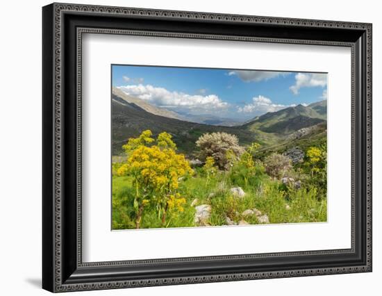 Kedros Massif, Crete, Greek Islands, Greece, Europe-Markus Lange-Framed Photographic Print