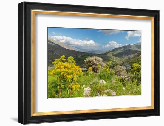 Kedros Massif, Crete, Greek Islands, Greece, Europe-Markus Lange-Framed Photographic Print