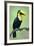 Keel-Billed toucan (Ramphastos sulfuratus), Sarapiqui, Costa Rica-null-Framed Photographic Print